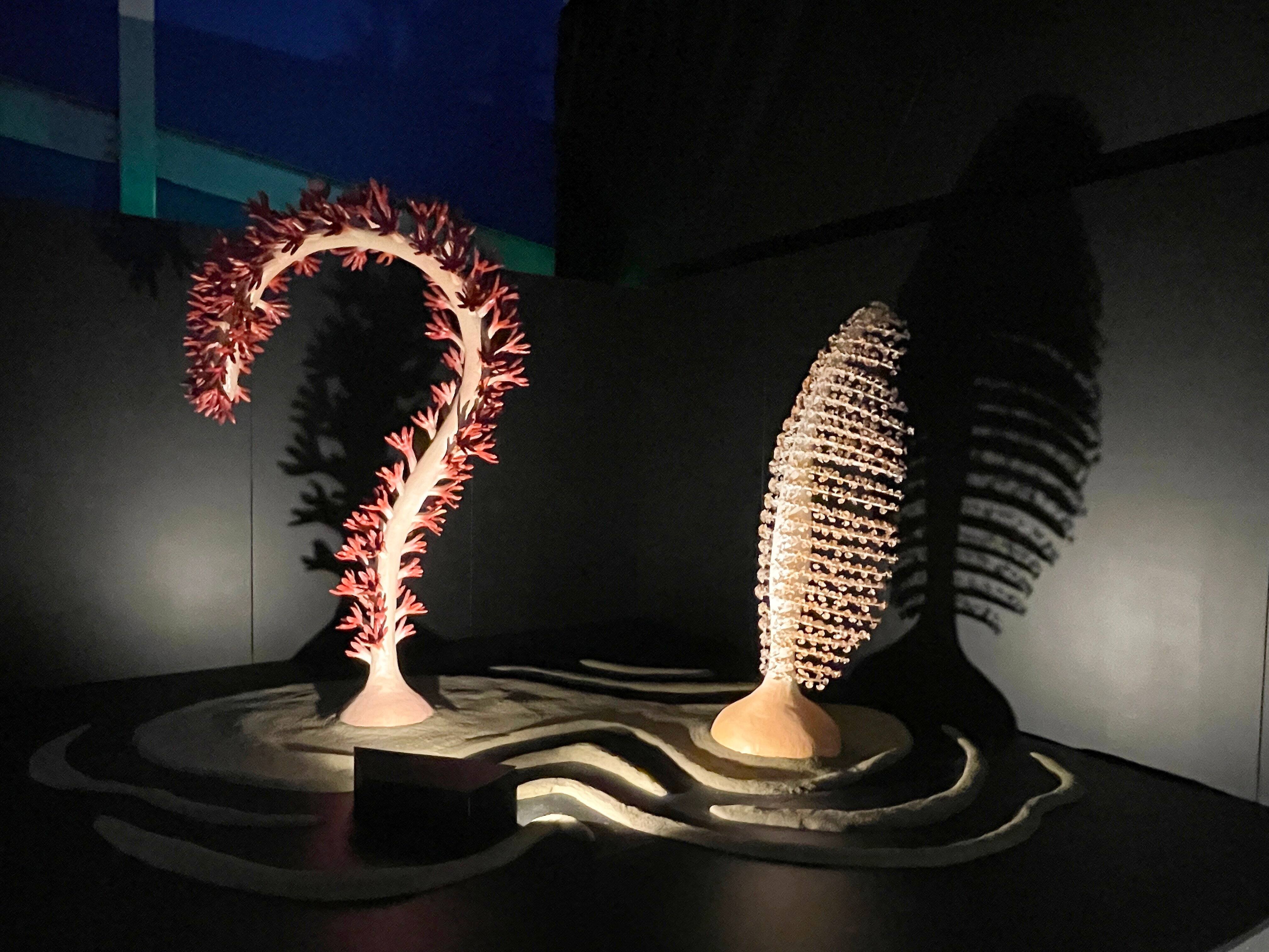 0726 EVA Voyager differently Gaspésie At Exploramer, the new exhibition